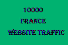 France Website Traffic - 10000