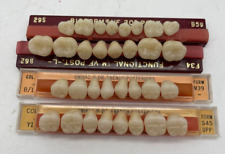 Vintage Denture Teeth Set - Four Strips