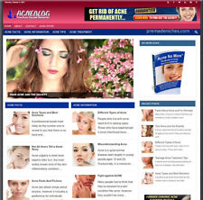 The Best Done For You Acne Blog Website Make Money Online From Home
