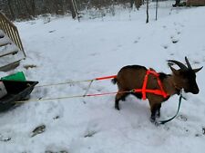 Goat Pulling Harness With Tugs Usa Made Lined Hand Made Strong