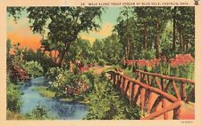 Postcard Walk Along Trout Stream At Blue Hole Castalia Ohio Linen Posted