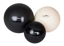 Fitball Body Therapy Ball Exercise Rehab Single