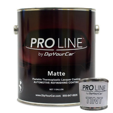 Plasti Dip Proline Performance Series Gallon Avalanche Grey