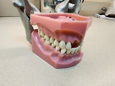 Colombia Denture Corp Model Dental School Practice Teeth