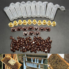 Complete Queen Rearing Cupkit System Bee Beekeeping Catcher Box 100 Cell Cups