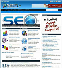 Search Engine Optimization Seo Turnkey Website - Affiliate Income