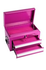 2-drawer 18 Inch 18g Steel Mini Top Chest Color Matched Liners Included Pink
