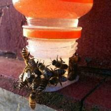 Beekeeping Bee Feeder Water Beekeeper Keeping Equipment Part Beehive Hive Tool