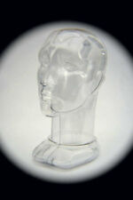 Unisex Head Form Mannequin Display. Rigid Clear Plastic. Modern Design.