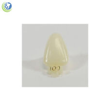 Dental Polycarbonate Temporary Crowns 100 Urc Upper Right Central 5pack