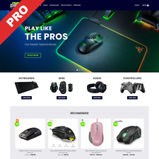  Gaming Dropshipping Website Business Free Hosting Fully Stocked