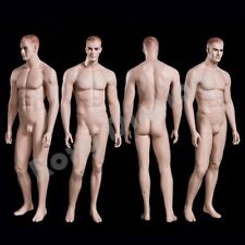 Realistic Male Mannequin With Molded Hair Mz-wen5
