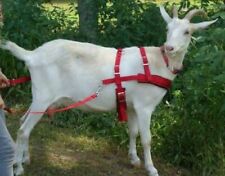 Carter Pet Supply Goat Pulling Harness Usa Made Super Tough Lined Handmade