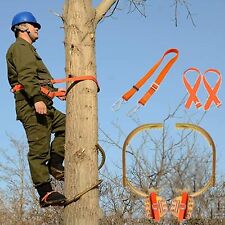 Tree Climbing Spike Set Pole Climbing Spurs With Adjustable Belt Safety Harnes