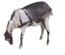Goat Pulling Harness With Tugs Usa Made Heavy Duty Lined Hand Made