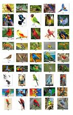 30 Personalized Exotic Beautiful Birds Address Labels Buy 3 Get1 Freeeb