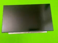 Msi Dell Alienware 17.3 Fhd 144hz Lcd Screen Display Panel N173hce-g33 Rev . C3