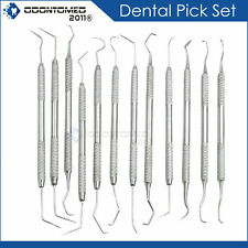12 Piece Dental Probe Pick Tool Instrument Set Stainless Steel Scaler Pr-296