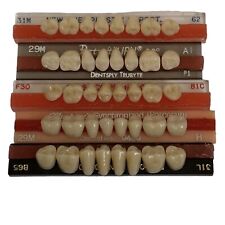 Vtg Denture Teeth False Tooth Set Dentist Halloween Creepy Oddities B1