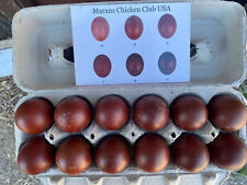 122 Black Copper And Blue Copper Marans Hatching Eggs In Npip Certified