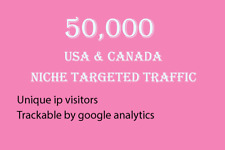 50000 Usa Canada Niche Targeted Website Traffic
