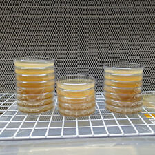 10 Malt Extract Agar Petri Dishes Mea - Sterile Pre-poured And Ready To Use.