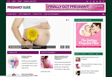 Pregnancy Guide Ready Made Blog - Established Profitable Turnkey Wordpress Websi