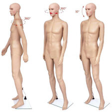 6ft Male Full Body Realistic Mannequin Display Head Turns Dress Form With Base