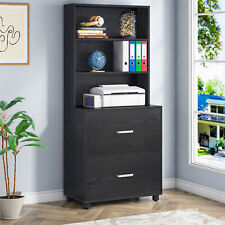 Tribesigns Black Vertical File Cabinet Printer Stand W 2 Drawer Storage Shelves