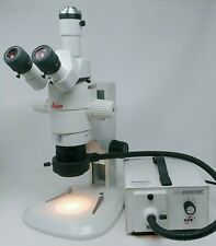 Leica Wild Stereo Microscope Mz8 With Trinocular Head