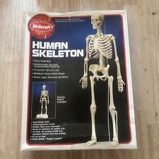 Human Skeletonskilcraft Model Kit.
