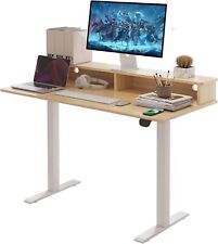 45 2 Drawers Adjustable Height Desk Office Electric Standing Desk