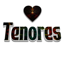 Tenores.com - Domain Names For Sale Brandable 24 Years Old Domain Name