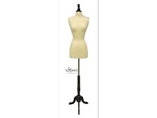 High Quality Size 6-8 Female Mannequin Dress Form Size F68wbs-02bkx Wood Base