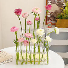 Creative Garden Supplies Hinged Flower Vase Test Tube Plant Pot Glass Vase