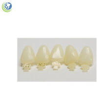 Dental Polycarbonate Temporary Crowns 103 Ulc Upper Left Central 5pack